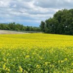 美瑛　富良野　薫風舎